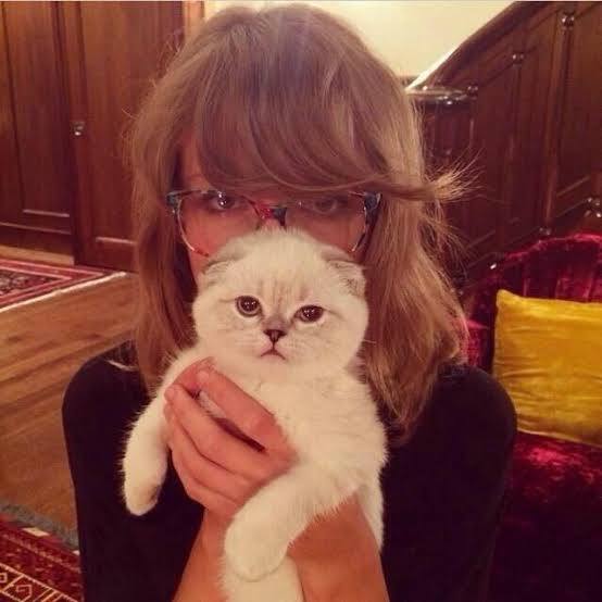 Taylor Swift holding Olivia Benson for a selfie