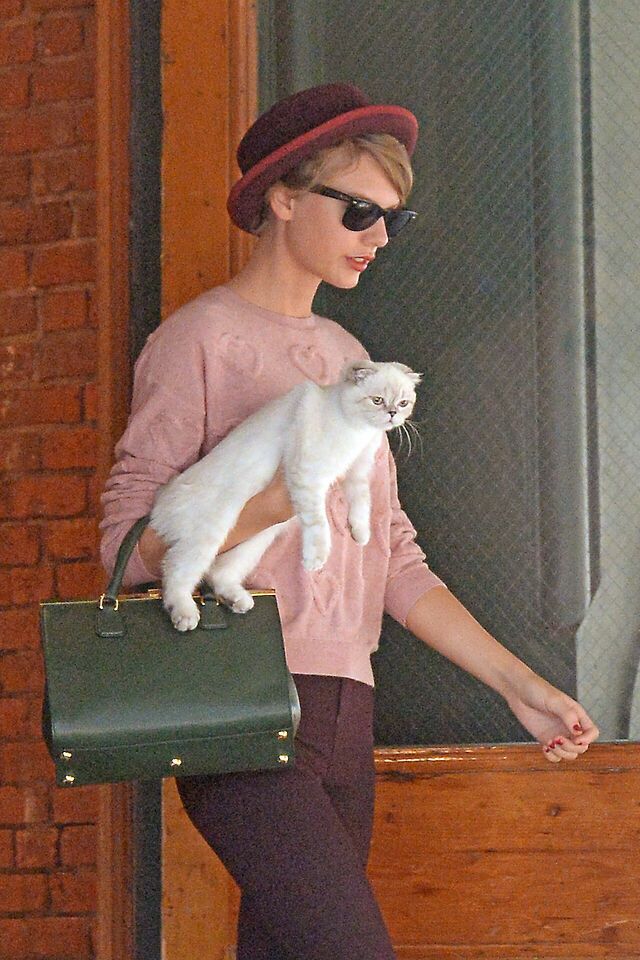 Taylor Swift leaving her apartment with Olivia Benson