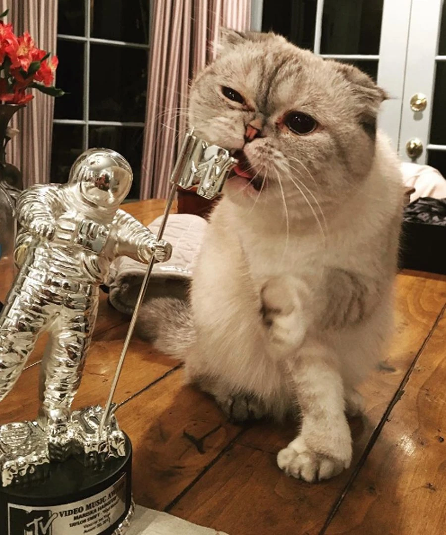 Olivia Benson biting an MTV VMA Moonman trophy