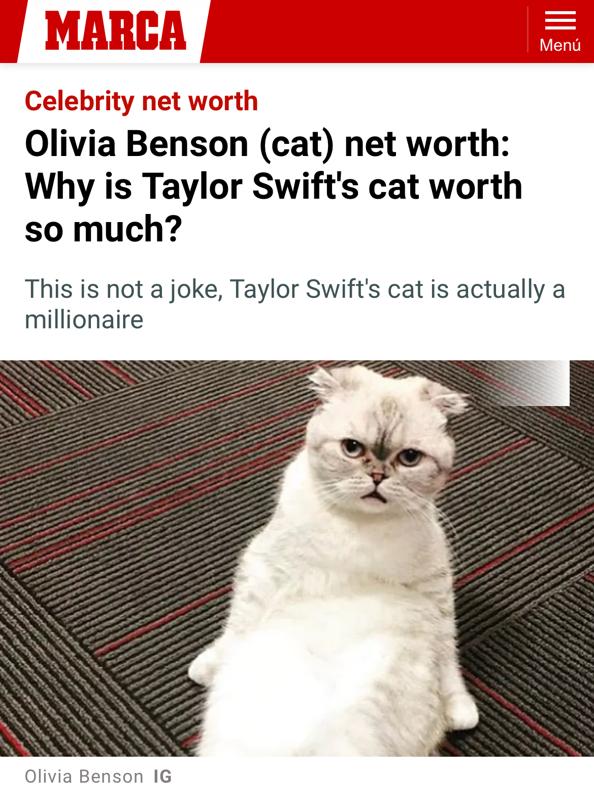 MARCA article on Olivia Benson's net worth